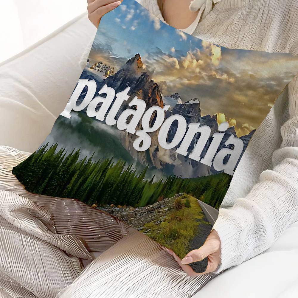 P-Patagonias Logo Pillow Cover - Home Textiles Logo 评论和价格